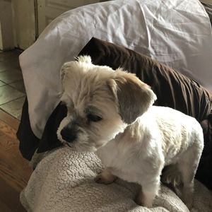 Meet your Posher, Salvatore